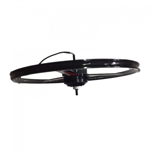 20-inch 36V brushless hub electric vehicle motorpicture3