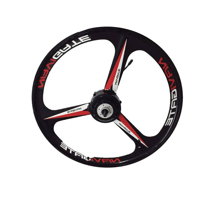 48V 20-inch brushless hub electric vehicle motor