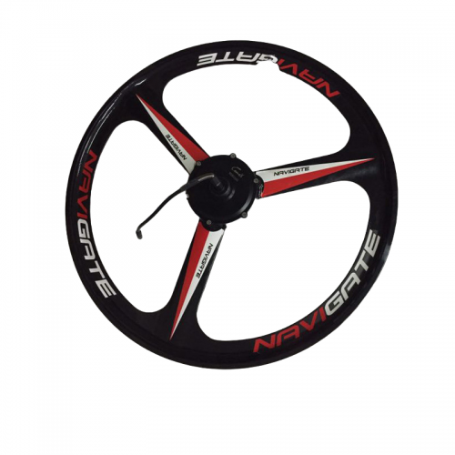 48V 20-inch brushless hub electric vehicle motorpicture2
