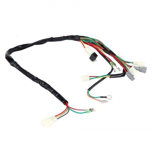 Motorcycle Replacement Wire Wiring Harness Assembly for Yamaha PW50picture2