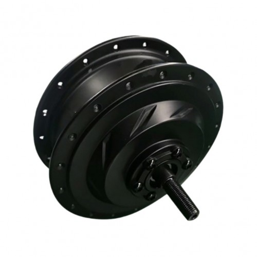 180W 24V Spoke Electric Mountain Bike Motorpicture2