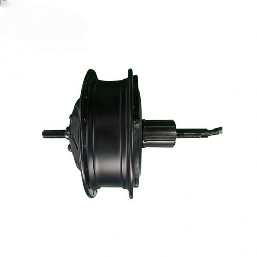 180W 24V Spoke Electric Mountain Bike Motorpicture3