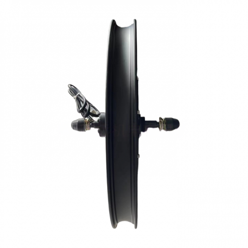 1kW 20-inch integrated wheel bicycle front and rear drive motorpicture3