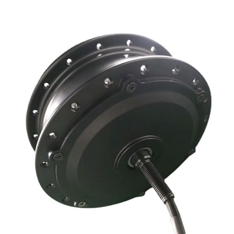 24V 180W 500W Spoke Electric Bicycle Mountain Bike Motor