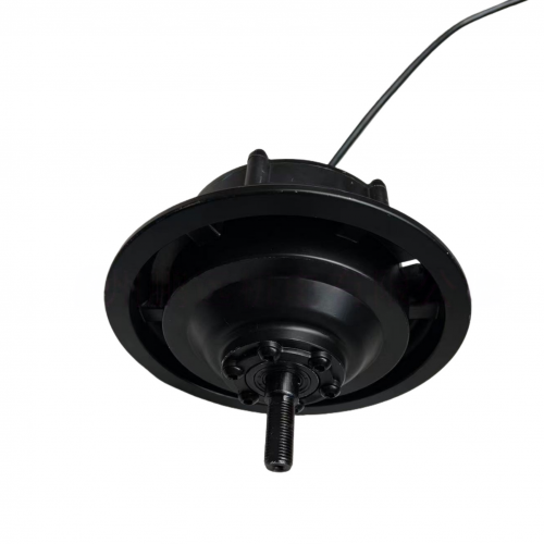 10-inch 36V Electric Bike Hub Motor with Gear Hub, Removablepicture2