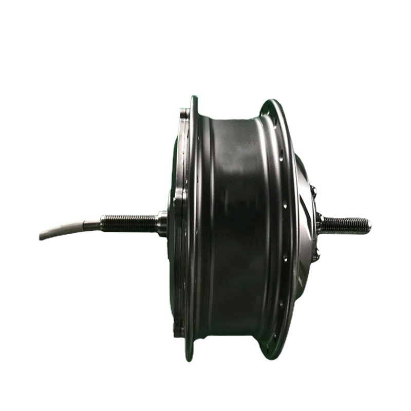 36V 180W 500W Spoke Electric Bicycle Mountain Bike Motor