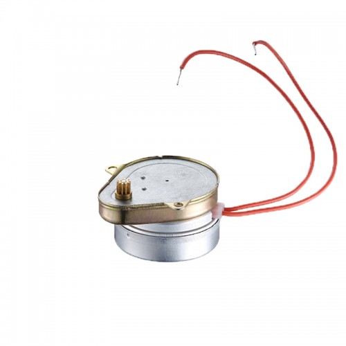 220V 5-6RPM Synchron Motor for Air Cooler Pipe Valves