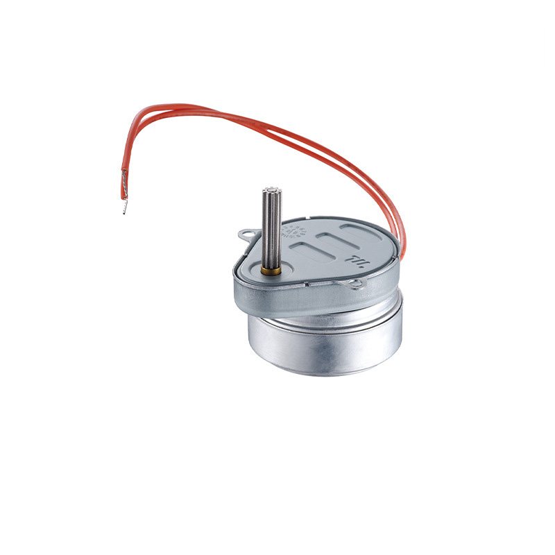 AC 110V Synchron Motor 4-5RPM for Air Cooler Motor