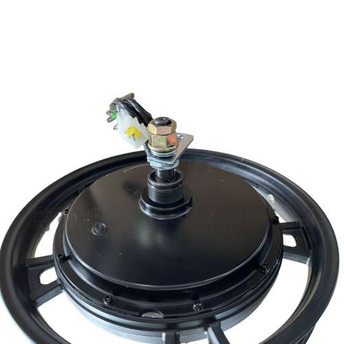 48V 16-inch Electric Bike Hub Brake Motor 0.35KWpicture4