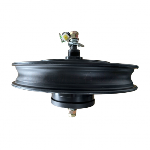48V 16-inch Electric Bike Hub Brake Motor 0.35KWpicture5
