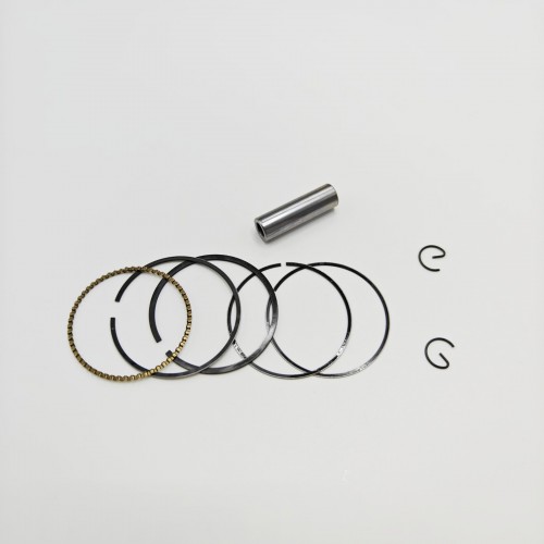 Piston Kit for 2.5HP Horse Power  Engine 4 Stroke 69M-E1631-01-96picture3