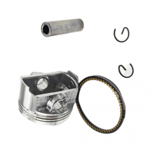 Piston Kit for Yamaha Outboard Piston Std 69M-E1631-01-96 F2.5