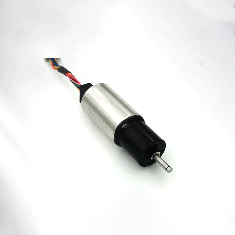 Micro Permanent Magnet Stepper Motor 12/24V