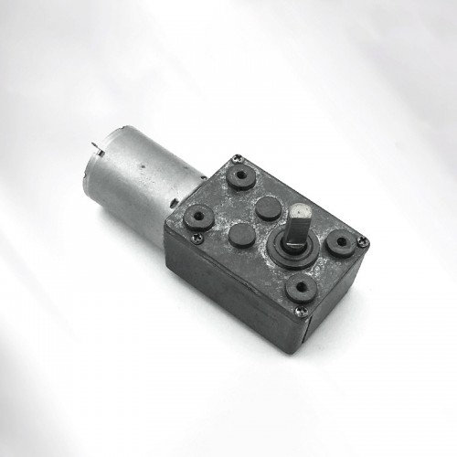 DC 6V Worm Gear Reducer Motor