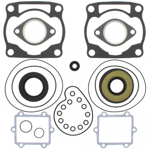 Complete Gasket Kit with Oil Seals for Arctic Cat ZR 500/600 EFI/LE/XC (1998-2000) 711227