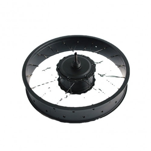 16″/20″/26″ Brushless 1000W Electric Bike Motor 24Vpicture4