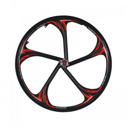 48V 24-inch 180 - 350W 135mm Open-Hub Integrated Wheel Electric Bike Motorpicture2