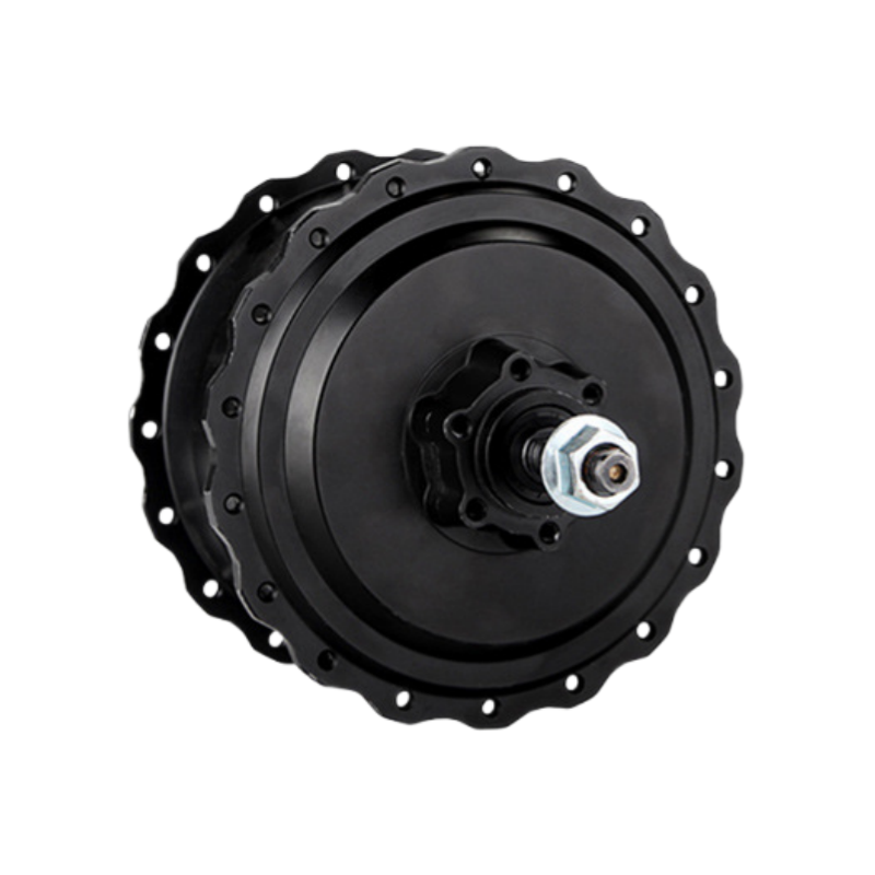 16″/20″/26″ Spoked Wheel 24V 1000W Electric Mountain Bike Motor
