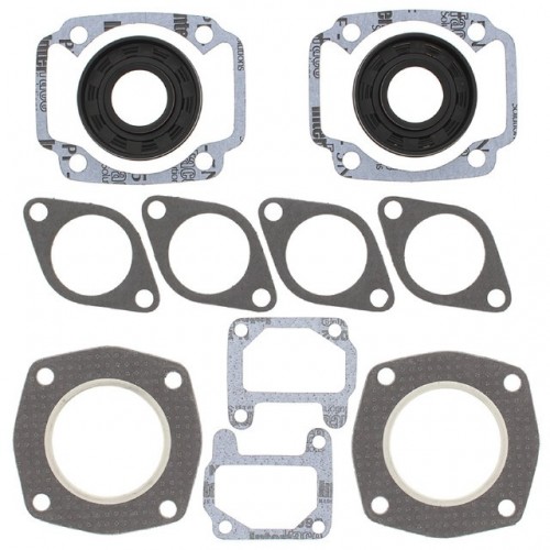Gasket Kit for Arctic Cat EXT 250/El Tigre Kawaski FA/2 1972-1973
