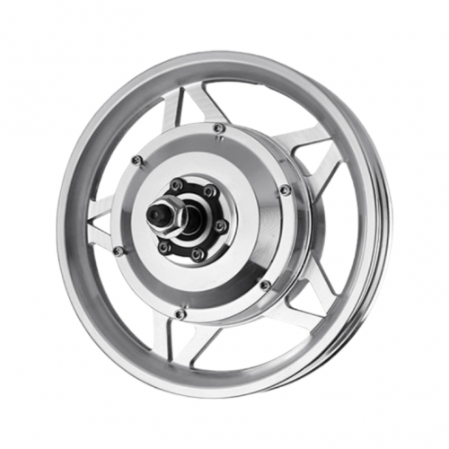 12-inch 48V Integrated Wheel Electric Bike Motor 350W