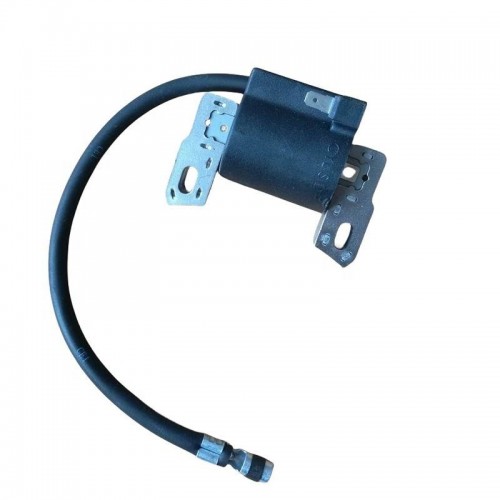 Ignition Coil Module 491760 590454 692605 790817 for Briggs & Stratton Engine Toropicture2