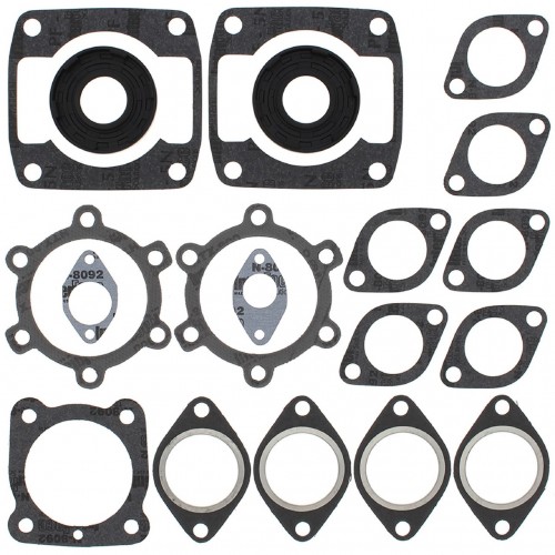 Complete Gasket Kit with Oil Seals for Arctic Cat Panther 5000/Panther (1976-1988)