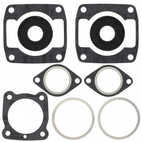 Gasket Kit with Oil Seals for Arctic Cat El Tigre 5000 1978-1981 500cc