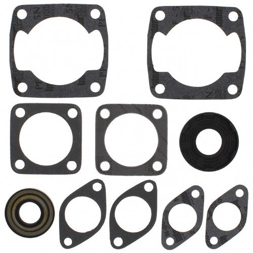 Complete Gasket Kit with Oil Seals for Arctic Cat Lynx 2000 T (1977-1980)
