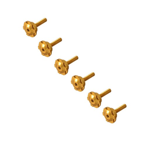 Windshield Bolts Screws Bolts For Harley Softail FXLRST 117 Low Rider ST EI Diablo FXRST 2022-2025picture4