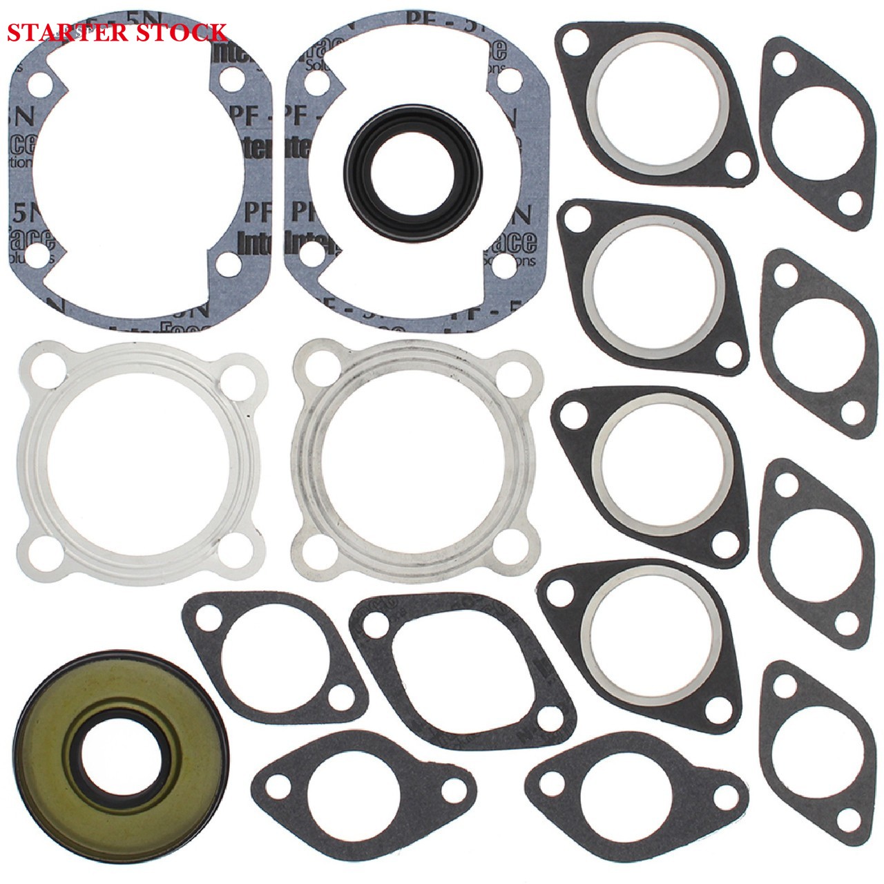 Complete Gasket Kit with Oil Seals for Yamaha GP396/SW396 1971