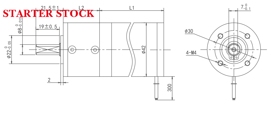 brushless motor with planetary gearbox