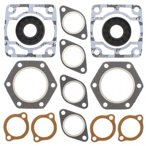 Complete Gasket Kit with Oil Seals for Polaris Electra 1975-1977 440cc