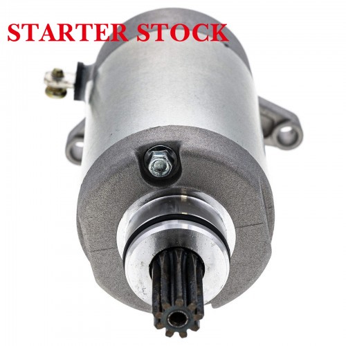 Starter Motor for YAMAHA YBR 125 XT125 XT125R 3D6-H1890-00-00 3D9-H1800-00-00picture2