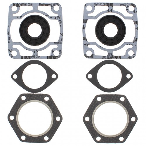 Complete Gasket Kit with Oil Seals for Polaris TX 1974 440cc