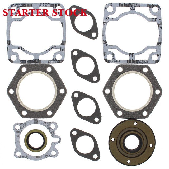 Complete Gasket Kit with Oil Seals for Polaris TX 1973 440cc