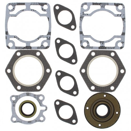 Complete Gasket Kit with Oil Seals for Polaris TX 1973 440cc