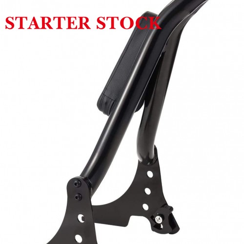 For Harley Sportster 2004-2021 Motorcycles Seats & Backrests Detachable Black Rear Passenger Backrest Sissy Barpicture5
