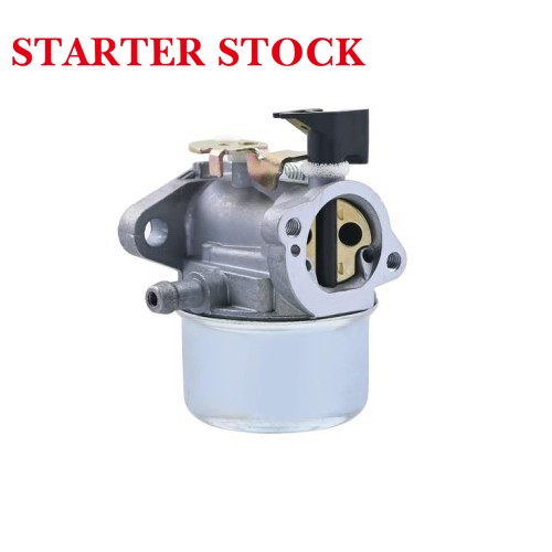 Carburetor for 498965 494216 493422 494971 Lawn Mower Carbpicture5