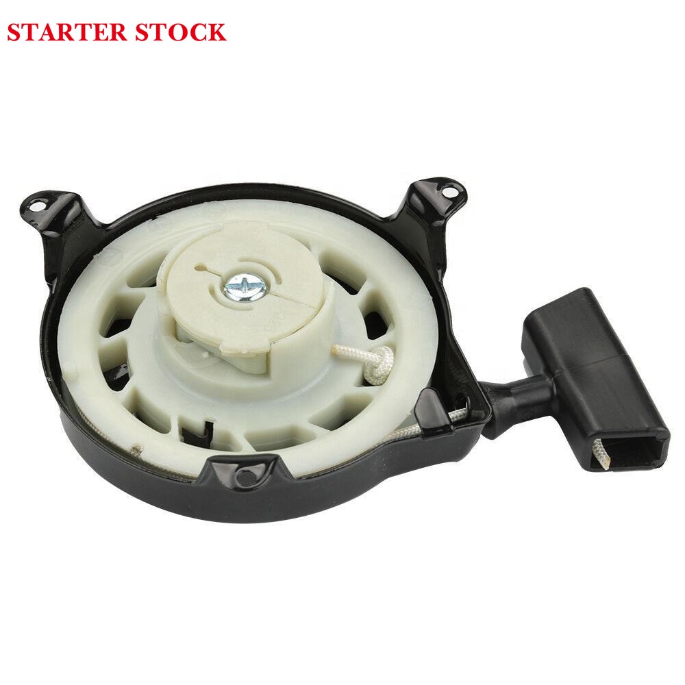 Recoil Pull Start Starter Assembly Fit for Briggs and Stratton 499706 690101 091212