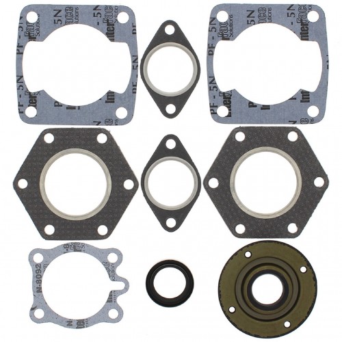 Complete Gasket Kit with Oil Seals for Polaris TX 1976-1979 250cc