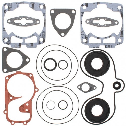 Complete Gasket Kit with Oil Seals for Polaris HO RMK 144	2006 600cc 711291