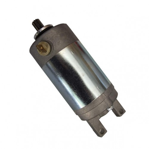18755 3FA-81800-01-00 3FA-81890-00-00Starter Motor for Yamaha ATV Breeze YFA1 Grizzly YFM125