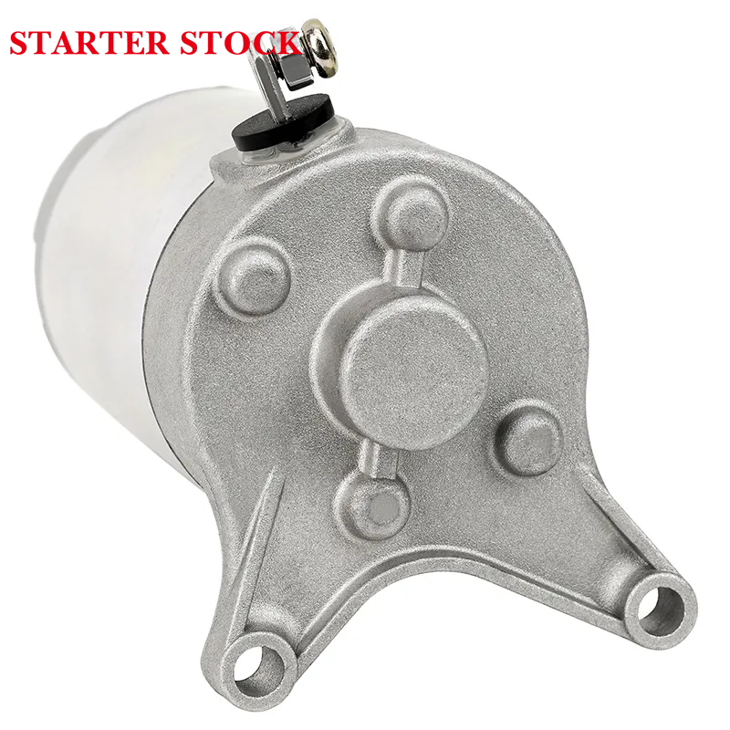 SRV250 XV125 XV240 XV250 Virago V-Star XVS125 XVS25018768 Motorcycle Starter Motor 2UJ-81890-00-00 2UJ-81800-03-00 for Yamaha