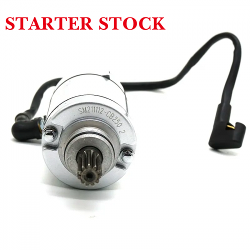 ZS166FMM CB250D-G BSE KAYO T2 T4 BSE1T Motorcycle Starter Motor for ZONGSHEN-Motor Racingpicture5