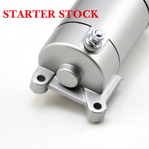 T4 Engine Starting Motor Electric Motorcycle PartsCB250 ZS166FMM CB250D-G BSE KAYO T2 T4 BSE for Zongshen CQR250 KAYOpicture2