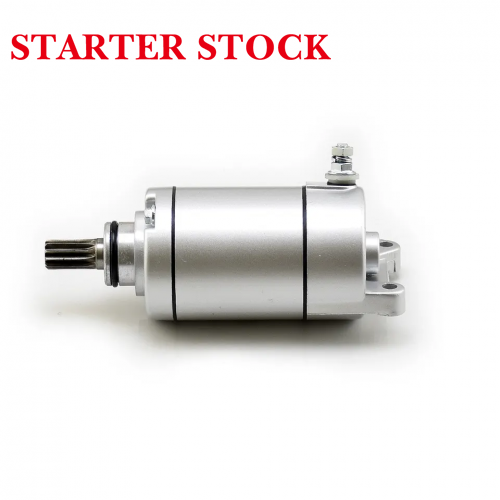 T4 Engine Starting Motor Electric Motorcycle PartsCB250 ZS166FMM CB250D-G BSE KAYO T2 T4 BSE for Zongshen CQR250 KAYOpicture4