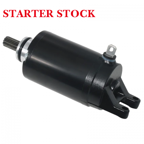 Tiger 800 Street Triple 675 RT1311112 T1314455 T1310060 Motorcycle Electrical Starter Engine Starter Motor for Triumphpicture3