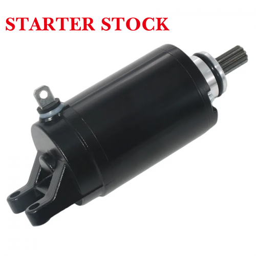 Tiger 800 Street Triple 675 RT1311112 T1314455 T1310060 Motorcycle Electrical Starter Engine Starter Motor for Triumphpicture6