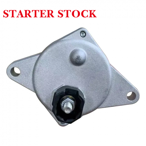 2013-2023/Cross Trainer X-Trainer 250 300 2015-2023Short Shaft-Starter Motor for Beta 250 300 RR 2 Stroke Enduropicture2