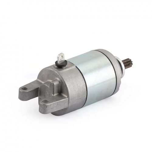 CZD 250 300 X-MAX 250 300 2017-2020 EVOLIS 300 2017B74-H1890-00-00 Motor Starter Engine Starting 9-Spline for Yamaha